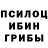 Псилоцибиновые грибы GOLDEN TEACHER Asya Lyben