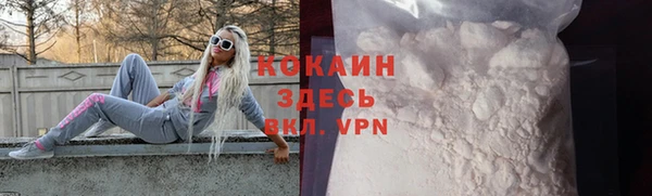 спиды Богородицк