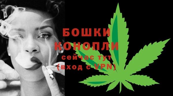 спиды Богородицк