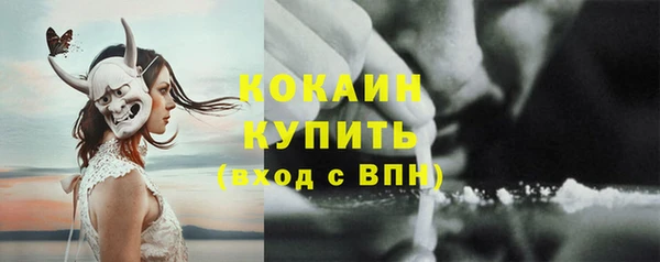 тгк Богданович