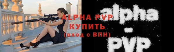спиды Богородицк