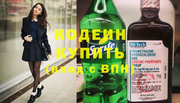 спиды Богородицк
