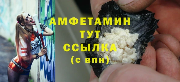 спиды Богородицк