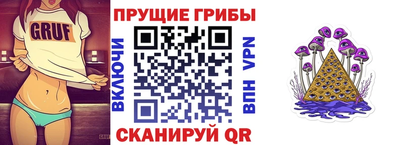 Галлюциногенные грибы GOLDEN TEACHER  купить  цена  Тверь 